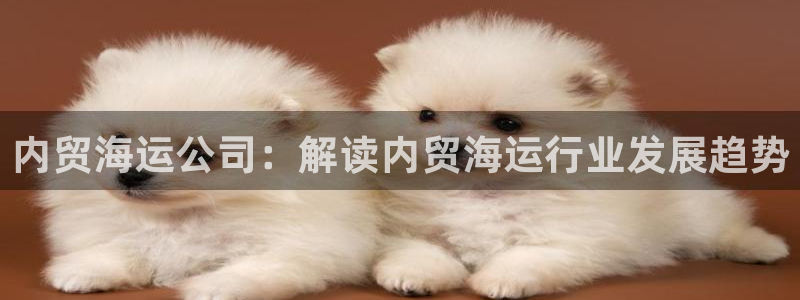 公海赌船吧
