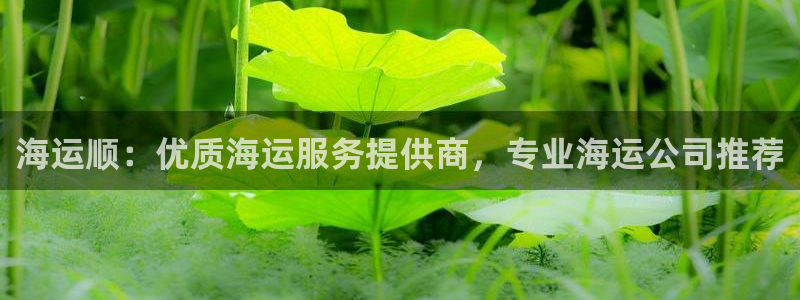 欢迎来到公海710线路是多少