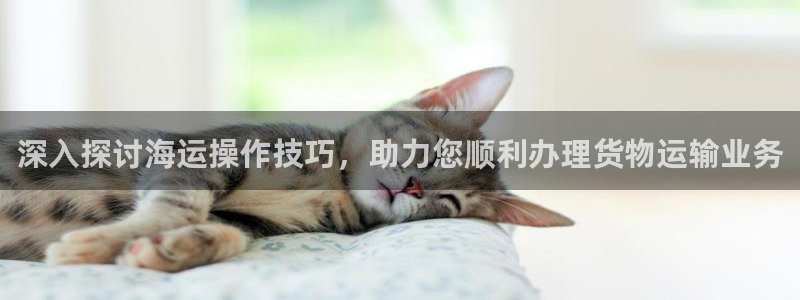 去公海赌博