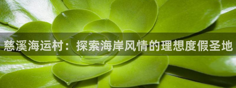 公海 赌船710手机版下载官方