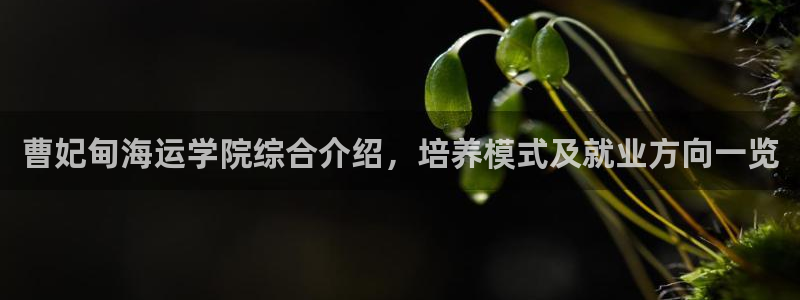 公海赌船网址710