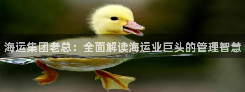 公海赌博为什么没人管