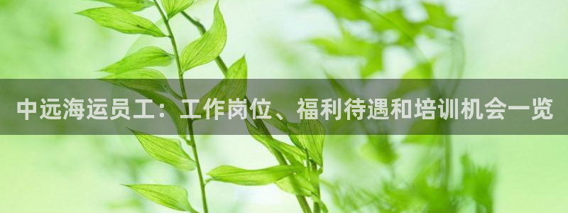 公海赌钱犯法吗