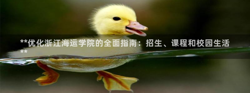 公海赌赌船利息宝是真的吗