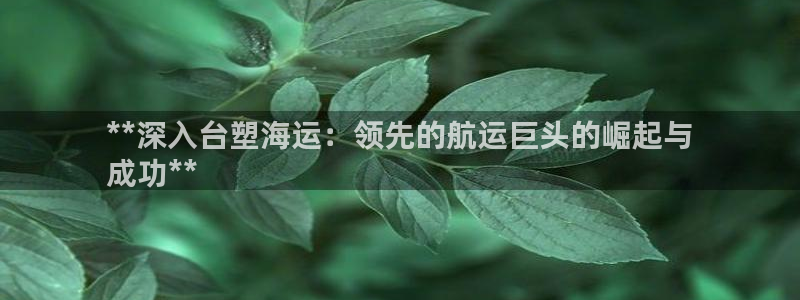 公海赌赌船官网图标