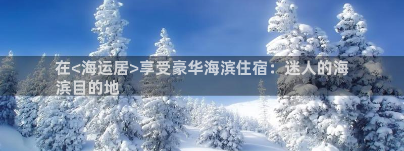 710公海赌赌船有总代理吗