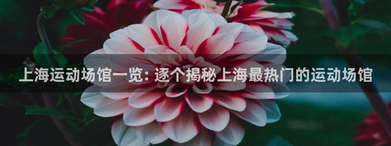 公海赌博为什么没人管