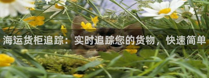欢迎你来到公海欢迎你来到赌船701