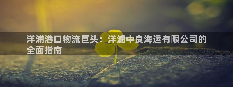 欢迎来到公赌船