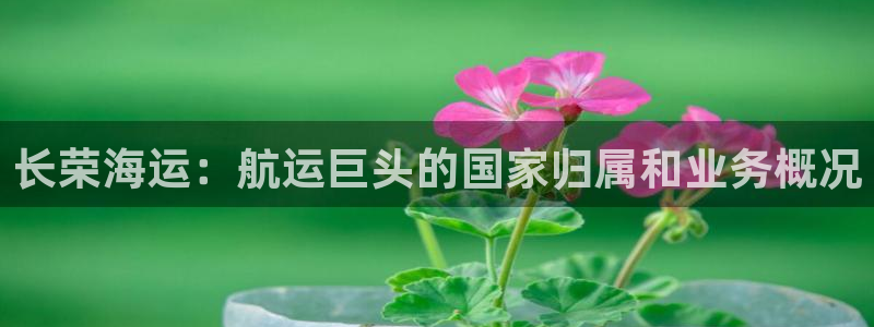 在公海赌博犯法吗