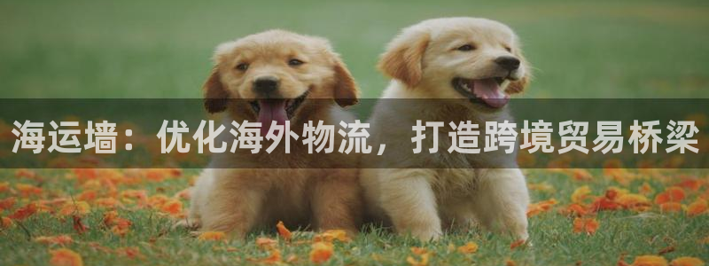 欢迎公海来到赌船710_首页(欢迎您)