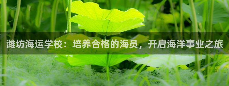 公海赌赌船官网是真的吗