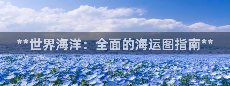欢迎来到公海