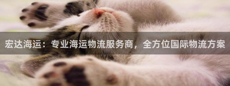 公海赌船网页