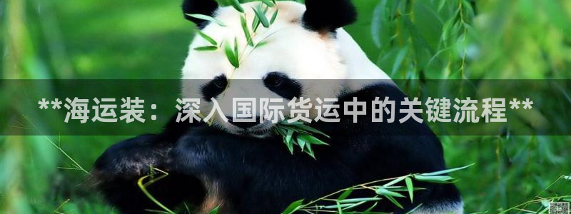 欢迎你来到公海欢迎你来到赌船